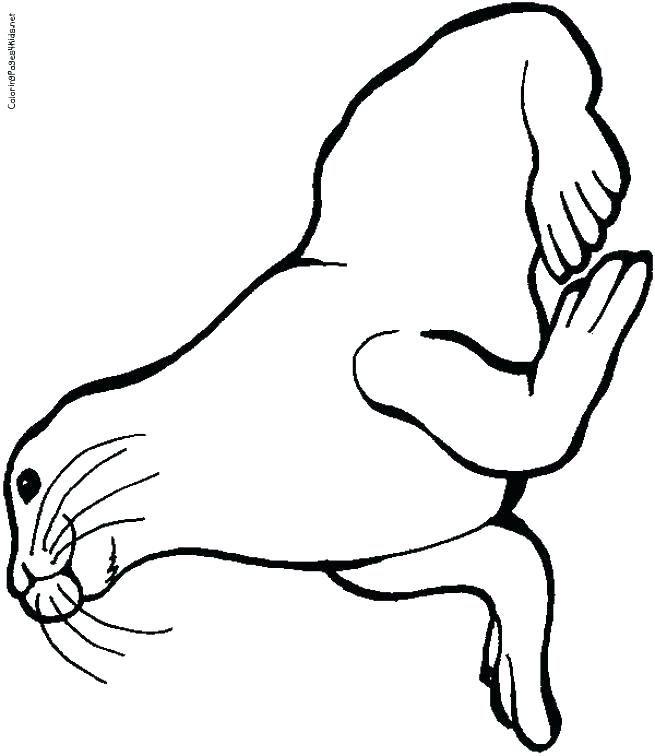 655x756 Sea Otter Coloring Pages Unique Otter Coloring Pages Or Sea Urchin
