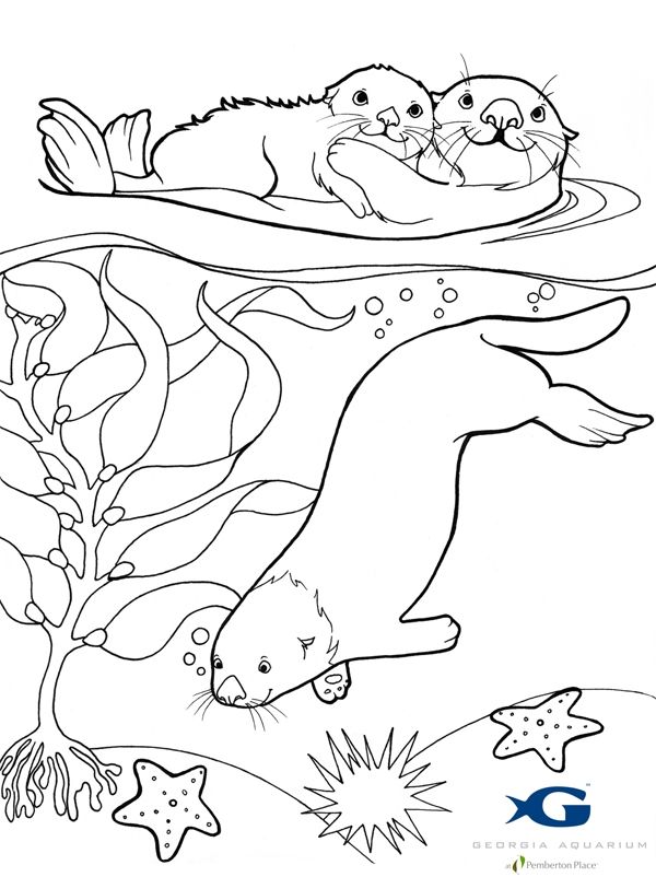 600x802 Subjects Pokemon Sea Otter Coloring Page Coloring Pages Sea