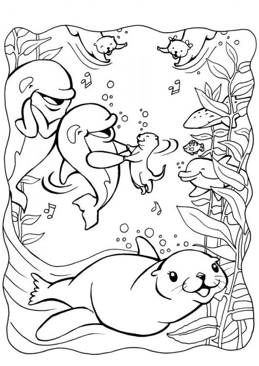 531x750 Dolphin And Otters Coloring Pages Otters, Crafts