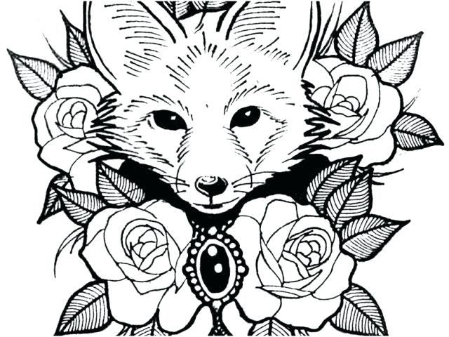 640x480 Otter Animal Coloring Pages Coloring Ideas Pro