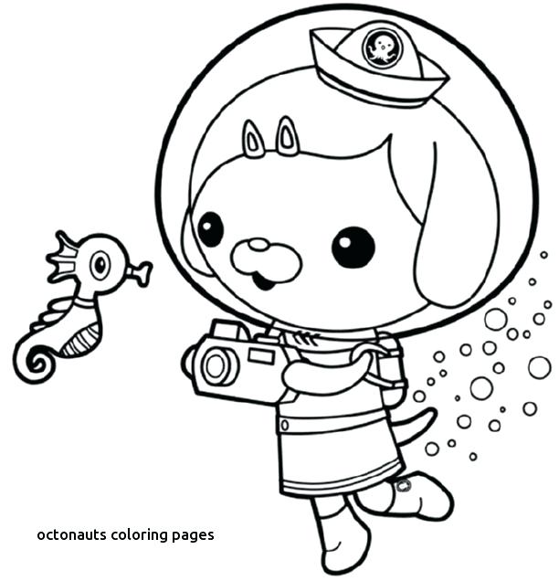 612x636 Coloring Pages Sea Otter Coloring Page Nature Coloring Pages