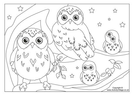 Coloring Pages Baby Owls 460x325 Coloring Pages Baby Owls