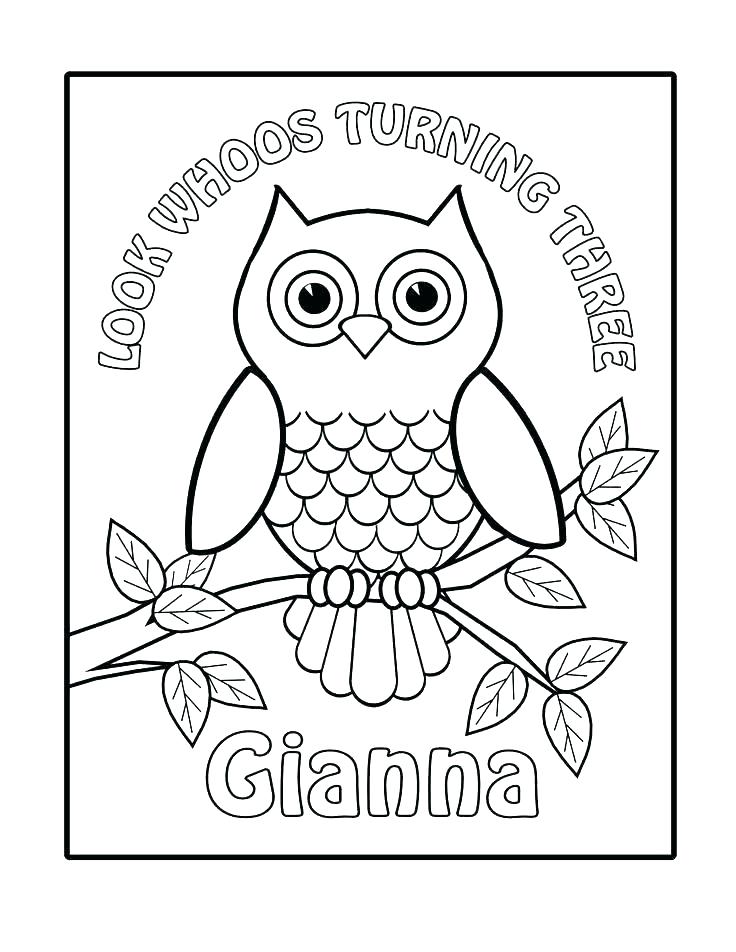 Owl Coloring Pages For Kids Free Printable Owl Coloring Pages Owl 736x952 Owl Coloring Pages For Kids Free Printable Owl Coloring Pages Owl