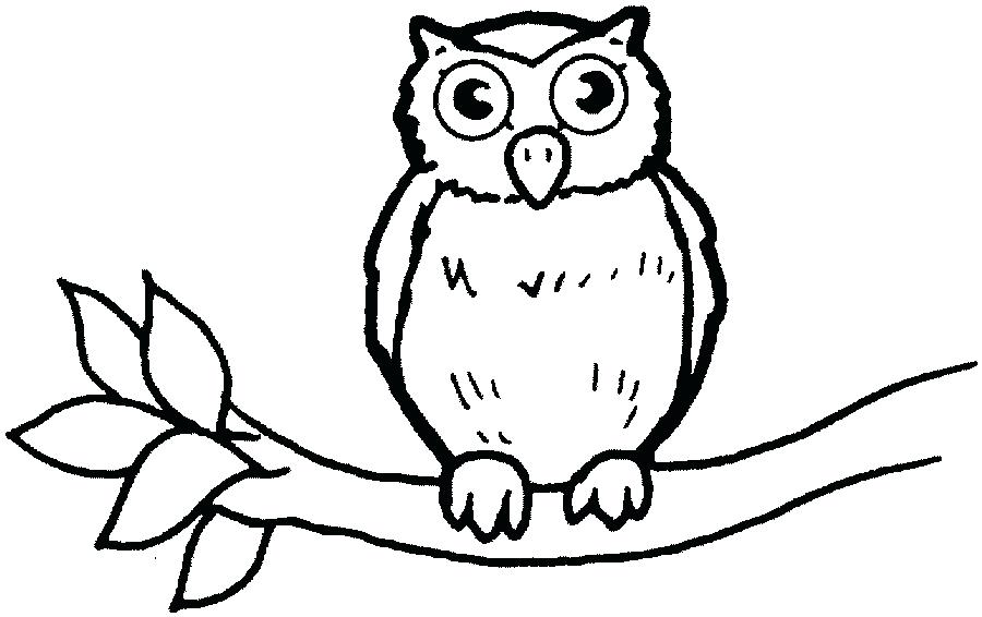 Wonderful Baby Owl Coloring Pages Coloring Boo Unknown Wonderful 900x566 Wonderful Baby Owl Coloring Pages Coloring Boo Unknown Wonderful