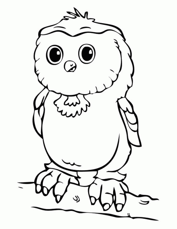 600x776 Baby Owl Coloring Page