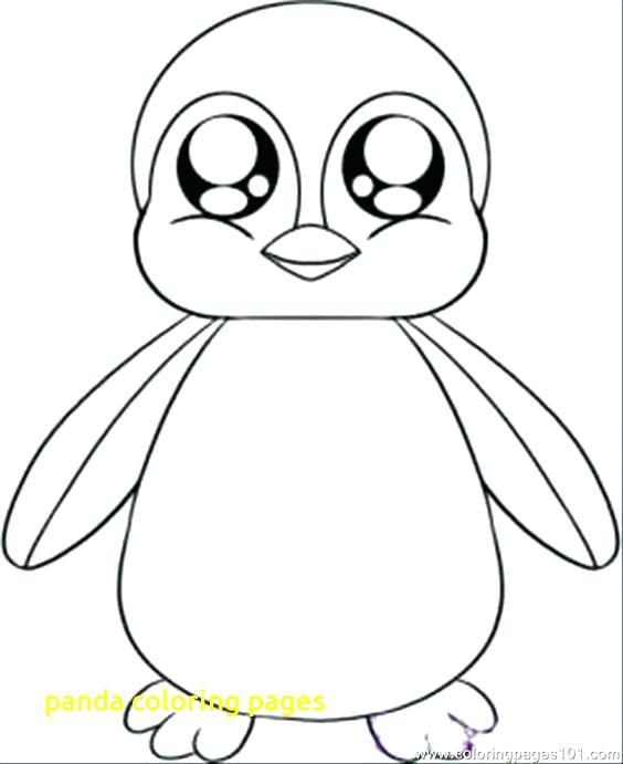 564x691 Panda Coloring Pages With Top Free Printable Cute Panda Bear Panda