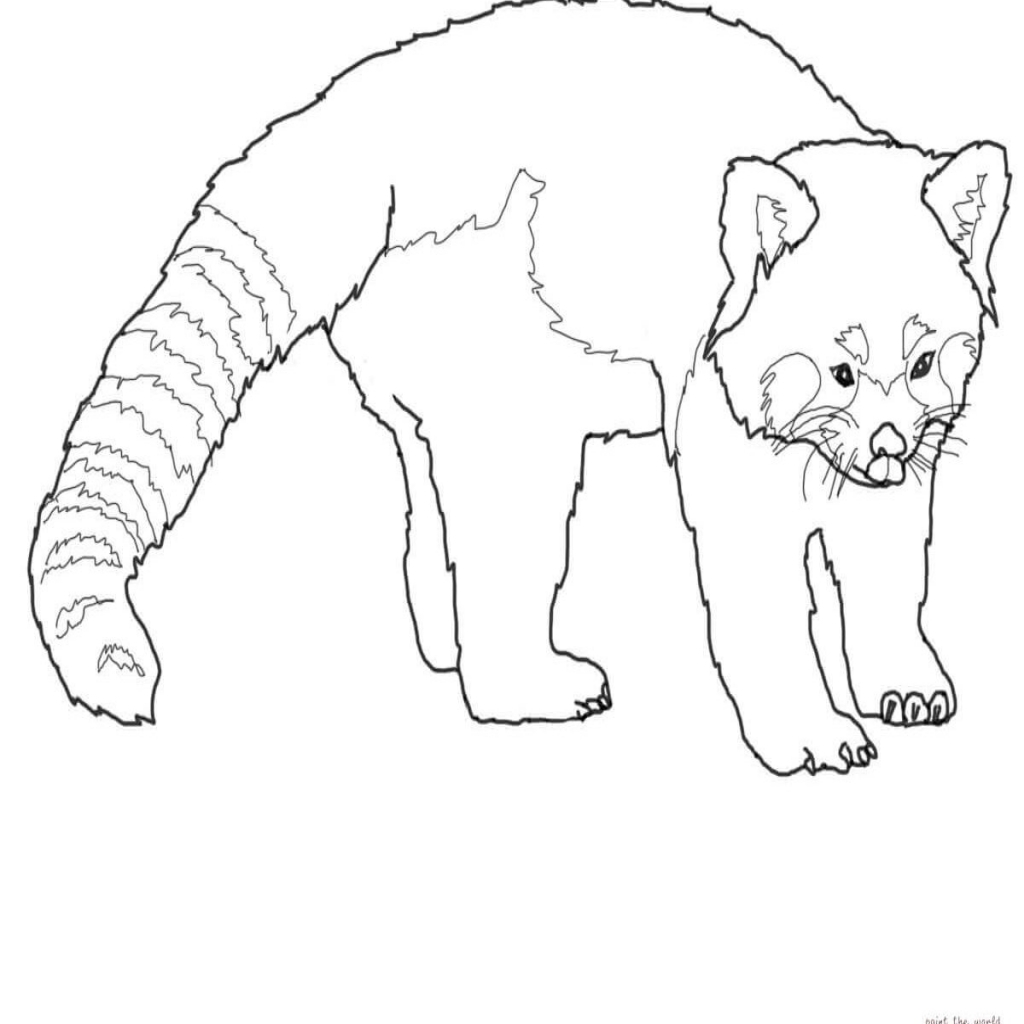 1024x1024 Unique Ba Panda Coloring Page Pictures Red Bear Pages General