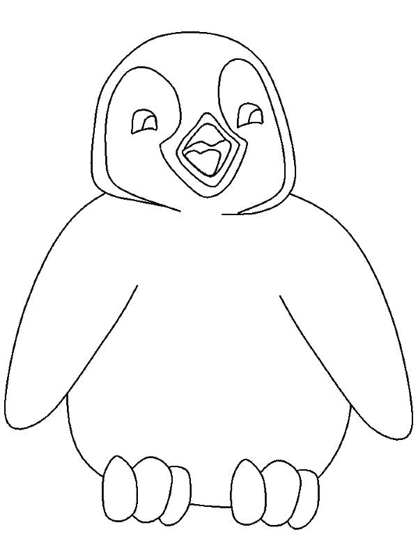 600x800 Cute Penguin Coloring Pages