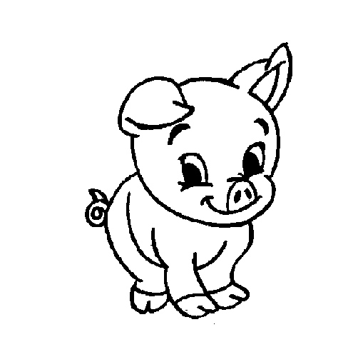 502x500 Cute Baby Pig Coloring Pages