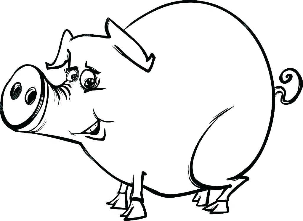 1023x747 Cute Baby Pig Coloring Pages Pig Cartoon Coloring Pages Pig Olivia