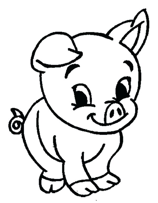 600x768 Baby Pig Coloring Pages 6