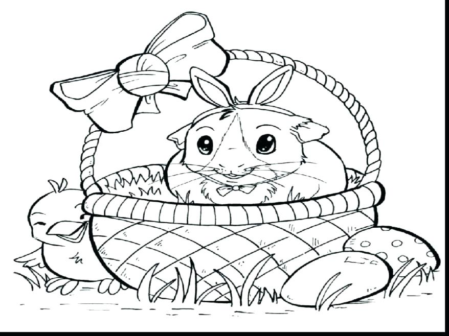878x658 Baby Pig Coloring Pages Guinea Pig Coloring Pages Packed