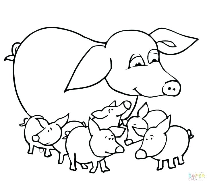 728x645 Baby Pig Coloring Pages Pig Baby Pig Coloring Pictures