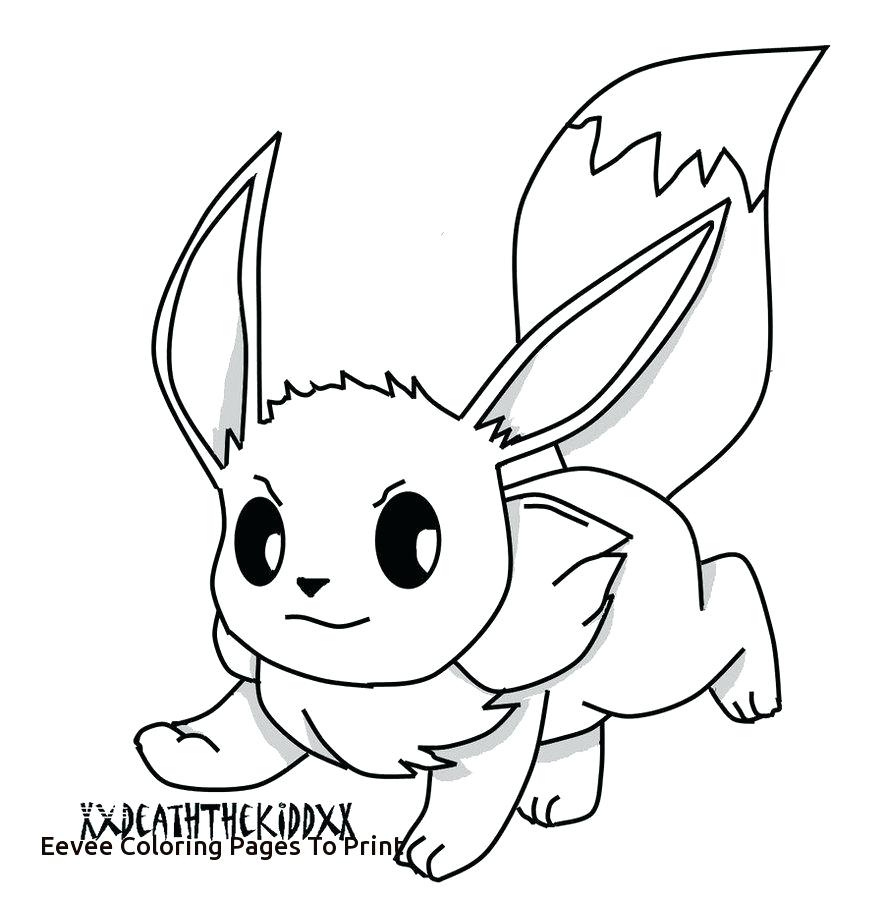 884x903 Value Eevee Coloring Pages Baby Pokemon Printable