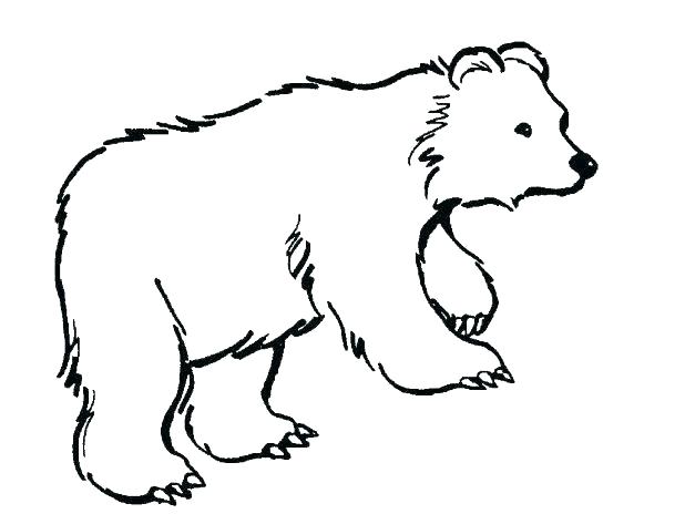 Baby Polar Bear Coloring Pages at GetColorings.com | Free printable ...
