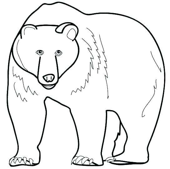 544x540 Polar Bear Coloring Pages Printable Polar Bear Coloring Pages