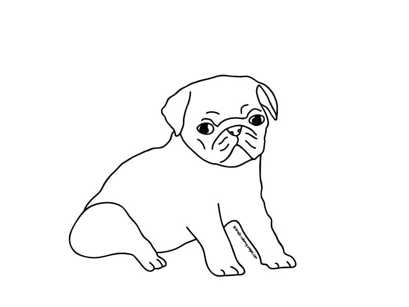 Pug Coloring Page Pug Coloring Pages Christmas Pug Coloring Pages 805x604 Pug Coloring Page Pug Coloring Pages Christmas Pug Coloring Pages