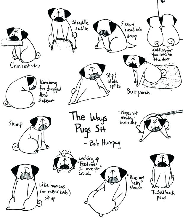 Pug Coloring Sheets Pug Coloring Pages As Well As Pug Coloring 618x749 Pug Coloring Sheets Pug Coloring Pages As Well As Pug Coloring