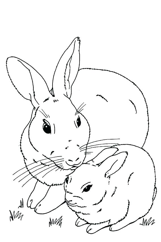 567x850 Baby Rabbit Coloring Pages As Well As Baby Rabbit Coloring Pages