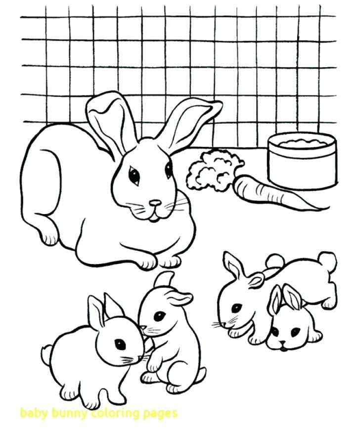 728x892 Baby Rabbit Coloring Pages Bunny Lively Bunnies Wagashiya