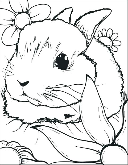 543x700 Coloring Pages Of Bunnies S Coloring Pages Of Cute Bunnies