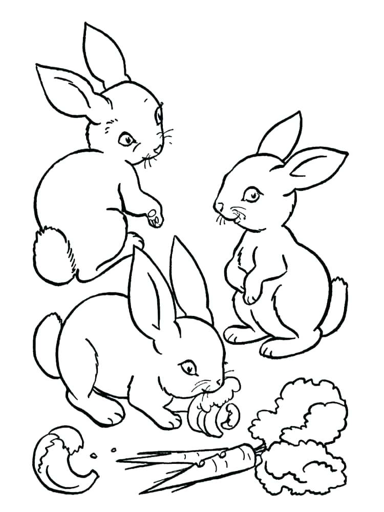 750x1000 Baby Bunny Coloring Pages Baby Bunny Coloring Pages Rabbit