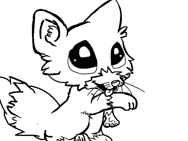 Cute Baby Fox Coloring Page 600x450 Cute Baby Fox Coloring Page