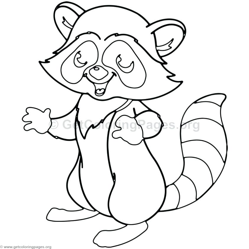 Raccoons Coloring Pages Cartoon Raccoon Coloring Pages Raccoon 843x843 Raccoons Coloring Pages Cartoon Raccoon Coloring Pages Raccoon