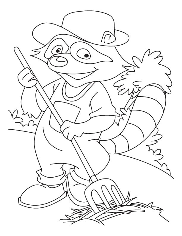 Baby Raccoon Coloring Pages 569392 612x792 Baby Raccoon Coloring Pages 569392