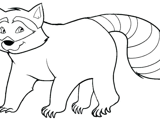 Racoon Coloring Page Coloring Pages Online Hard Raccoon Sheet 678x509 Racoon Coloring Page Coloring Pages Online Hard Raccoon Sheet