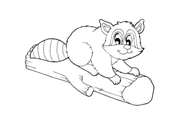 Baby Raccoon Coloring Pages Printable Coloring Coloring Page 600x423 Baby Raccoon Coloring Pages Printable Coloring Coloring Page
