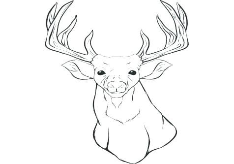 Free Reindeer Coloring Pages Reindeer Coloring Pages Printable 476x333 Free Reindeer Coloring Pages Reindeer Coloring Pages Printable