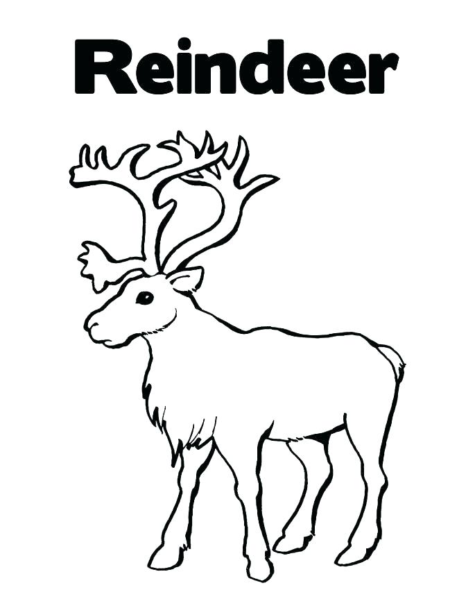 Reindeer Coloring Sheets Excellent Design Reindeer Coloring Sheets 685x886 Reindeer Coloring Sheets Excellent Design Reindeer Coloring Sheets