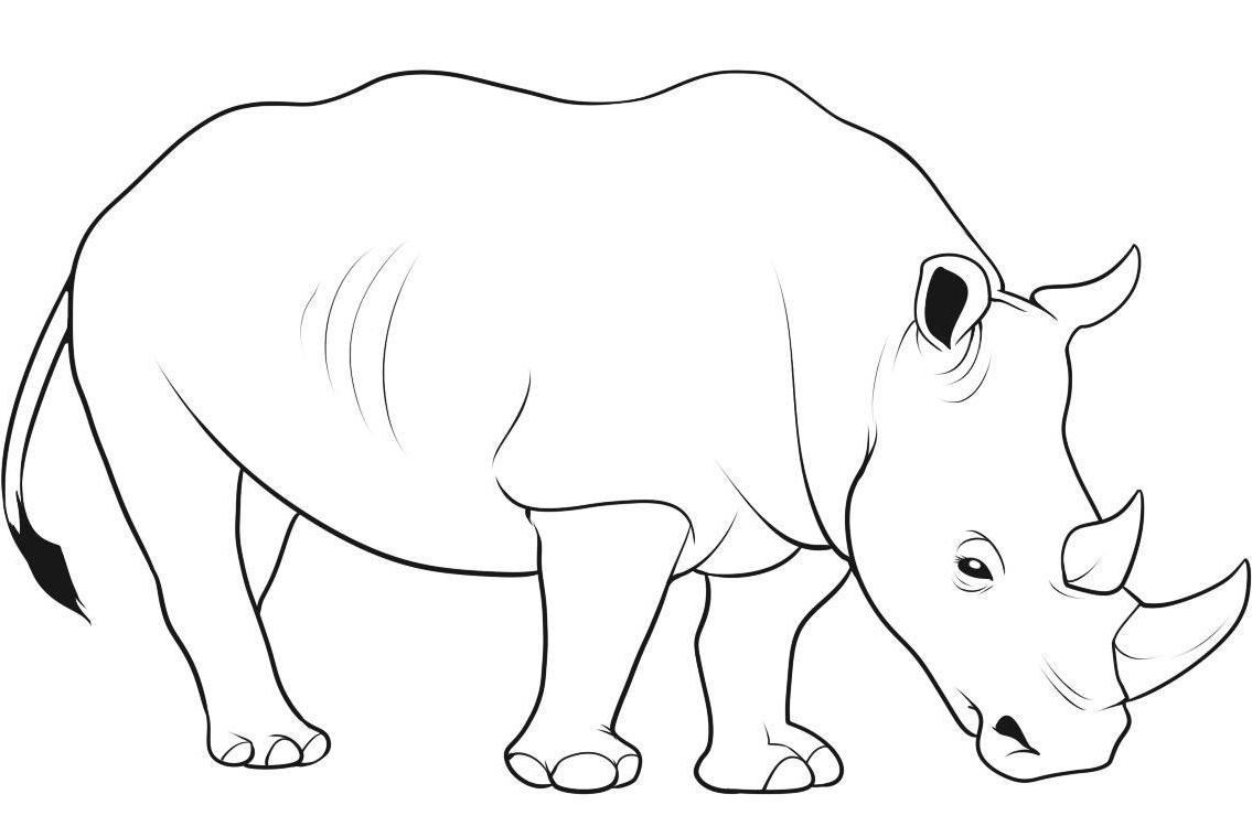 1135x759 Rhinoceros Coloring Pages All Coloring Pages