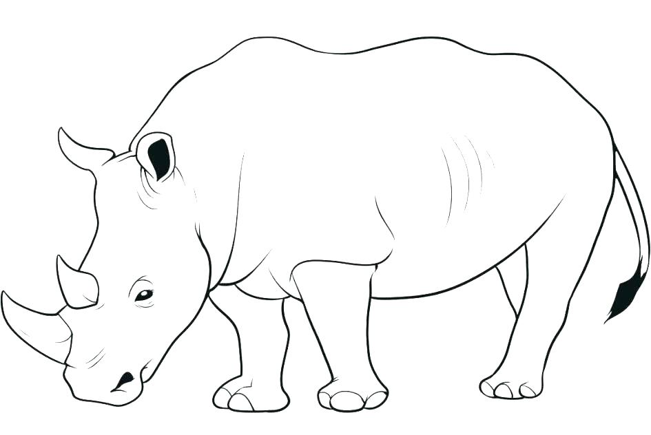 Baby Rhino Coloring Page at GetColorings.com | Free printable colorings ...