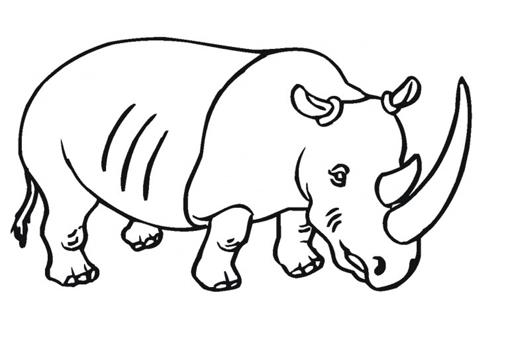 1050x706 Free Printable Rhinoceros Coloring Pages For Kids