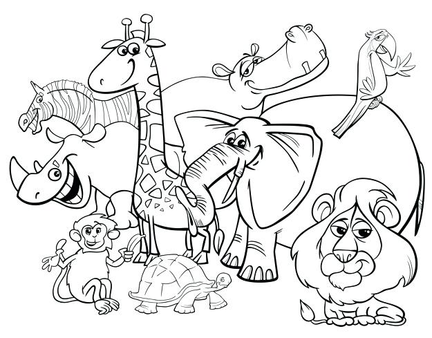 625x489 Safari Animal Coloring Pages Cartoon Safari Animals Coloring Page