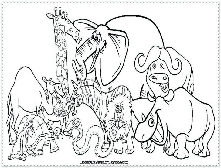 Safari Coloring Page Jungle Animal Coloring Pages Printable 728x553 Safari Coloring Page Jungle Animal Coloring Pages Printable