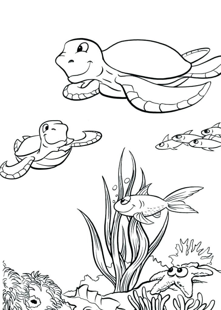 Coloring Pages Of Sea Turtles Green Sea Turtle Coloring Page 728x1021 Coloring Pages Of Sea Turtles Green Sea Turtle Coloring Page