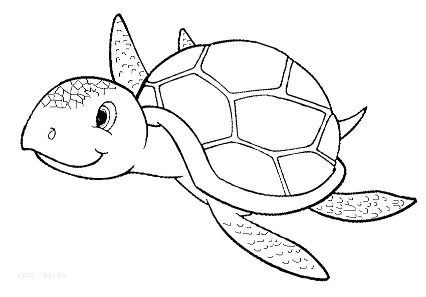 Coloring Pages Of Sea Turtles The Latest Tips And News On Sea 850x594 Coloring Pages Of Sea Turtles The Latest Tips And News On Sea