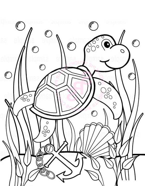 Baby Sea Turtle Play Between Seaweed Free Coloring Sheet 600x768 Baby Sea Turtle Play Between Seaweed Free Coloring Sheet