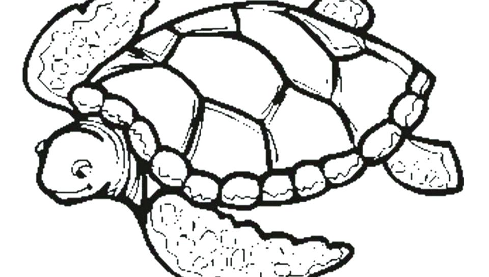 Turtle Coloring Page Free Printable Colouring In Humorous Sea 960x544 Turtle Coloring Page Free Printable Colouring In Humorous Sea