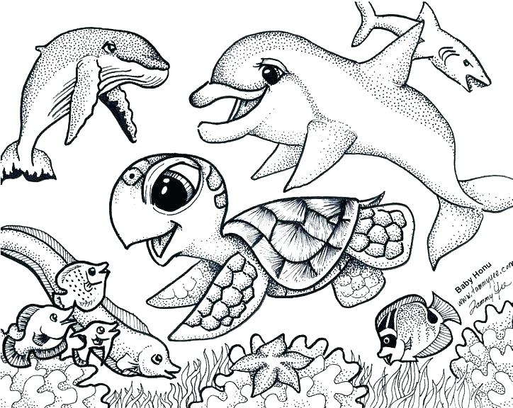 Turtle Coloring Pages Great Sea Turtle Coloring Page Perfect 724x576 Turtle Coloring Pages Great Sea Turtle Coloring Page Perfect