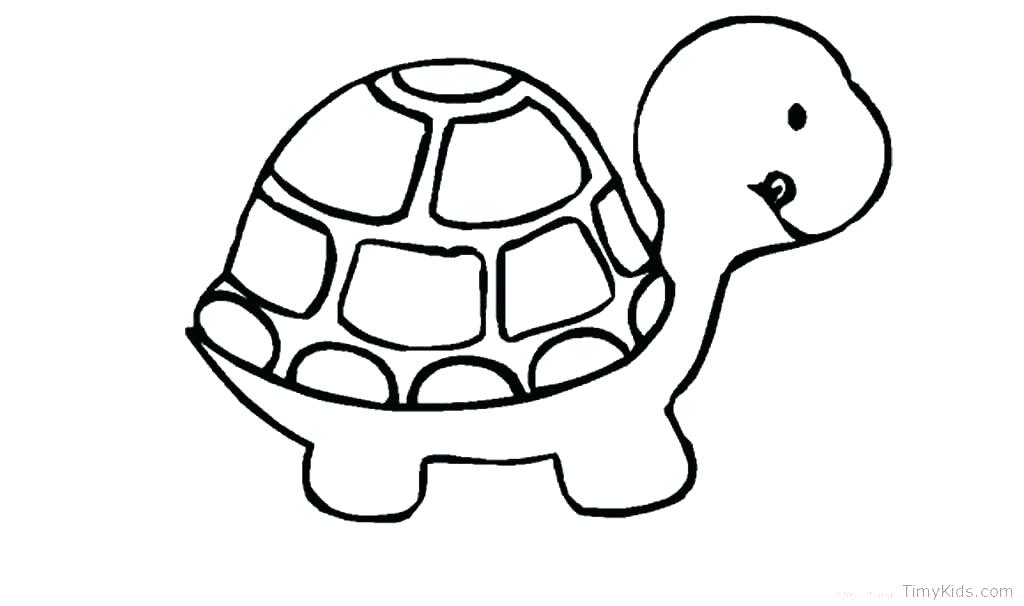 Coloring Pages Of A Turtle Ninja Turtle Coloring Book As Well As 1024x606 Coloring Pages Of A Turtle Ninja Turtle Coloring Book As Well As