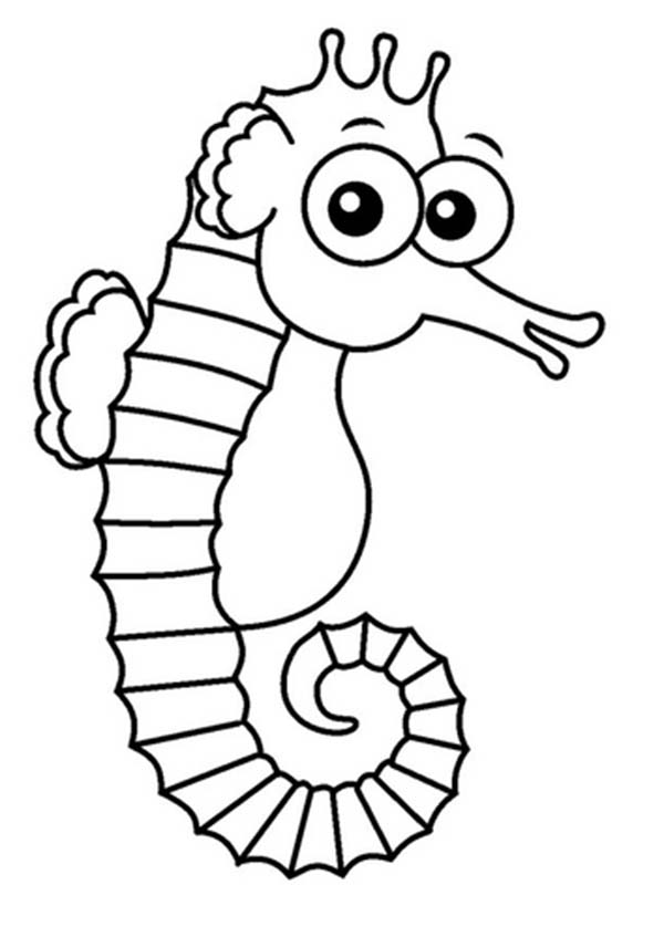 Cute Seahorse Coloring Pages 600x847 Cute Seahorse Coloring Pages