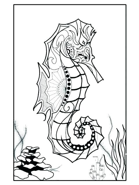 Sea Horse Coloring Pages Best Of Seahorse Coloring Page 480x640 Sea Horse Coloring Pages Best Of Seahorse Coloring Page