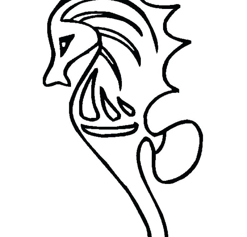 Seahorse Coloring Page Seahorses Coloring Pages Coloring Page 800x768 Seahorse Coloring Page Seahorses Coloring Pages Coloring Page
