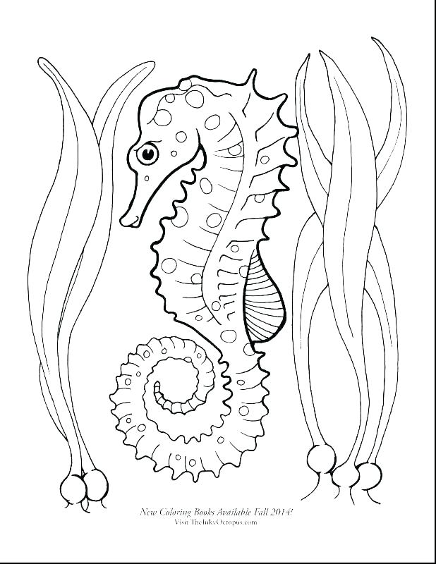 Very Hungry Caterpillar Coloring Pages The Very Hungry Caterpillar 618x800 Very Hungry Caterpillar Coloring Pages The Very Hungry Caterpillar
