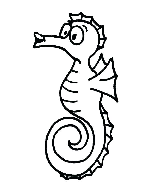 Baby Seahorse Coloring Pages Seahorse Coloring Page Ba Seahorse 600x776 Baby Seahorse Coloring Pages Seahorse Coloring Page Ba Seahorse