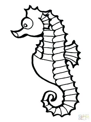Baby Seahorse Coloring Pages Medecine Du 300x400 Baby Seahorse Coloring Pages Medecine Du